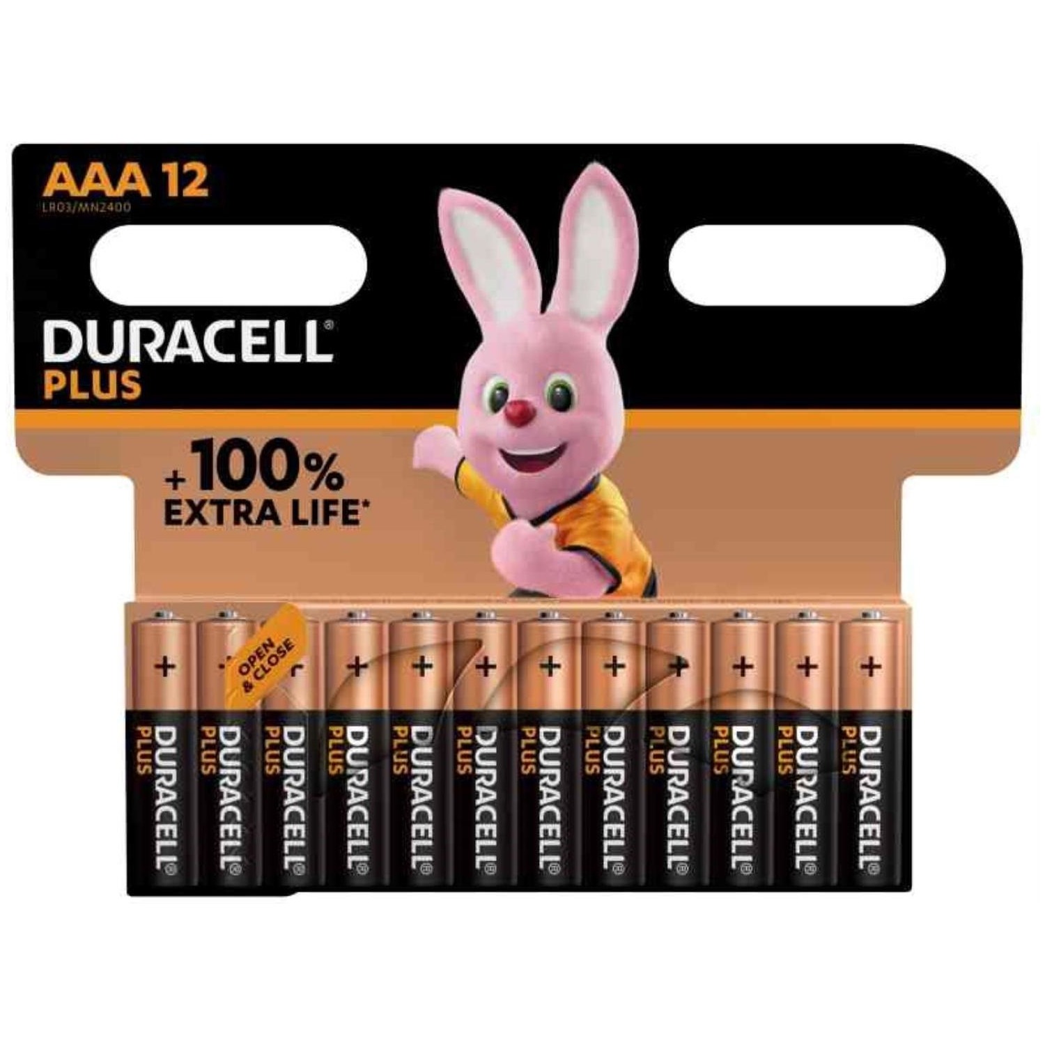 Immagine per Batteria pila mini stilo alcalina Duracell Plus   100 AAA 12pz da DIMOStore