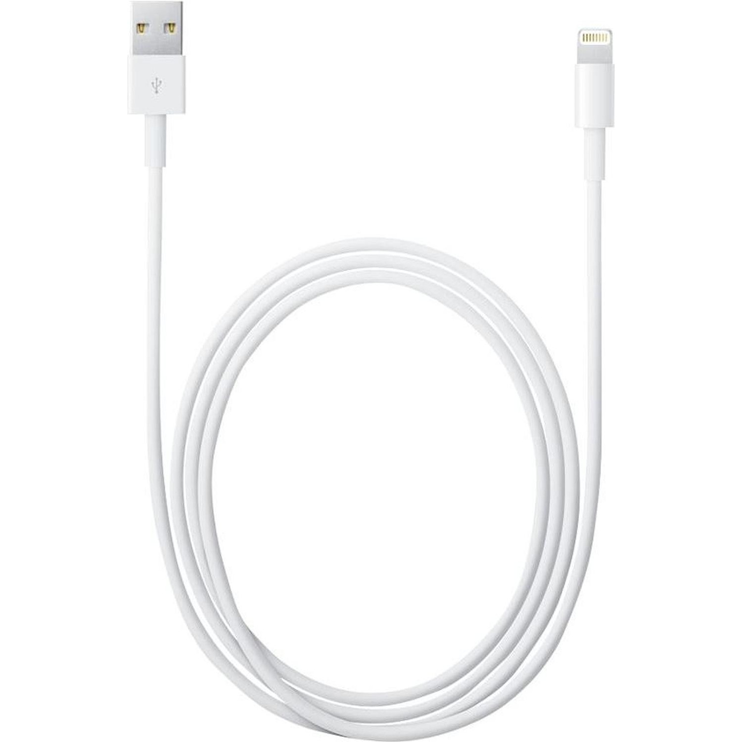 Immagine per Cavo Apple lightning/USB 2 metri per iPhone iPad da DIMOStore