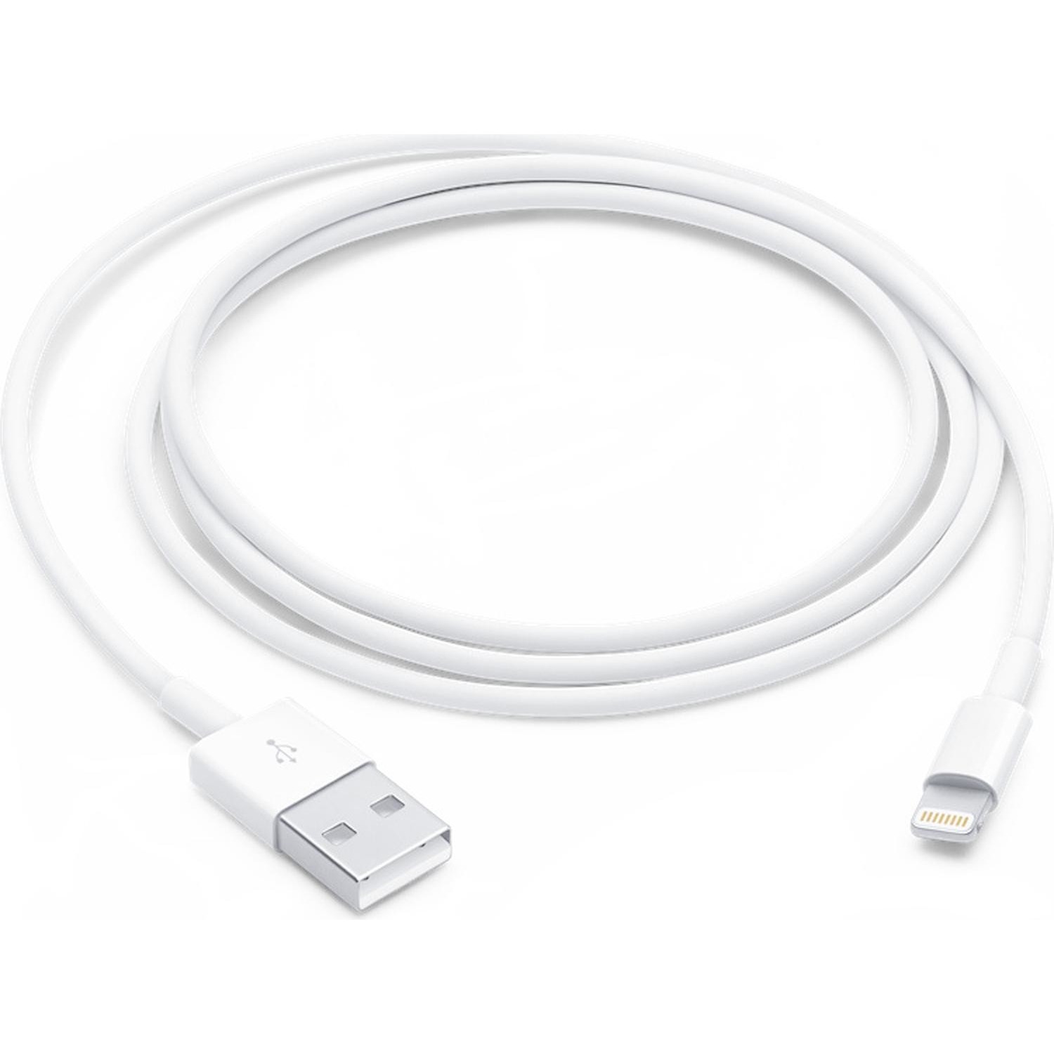 Immagine per Cavo lighting Apple USB 1 metro da DIMOStore