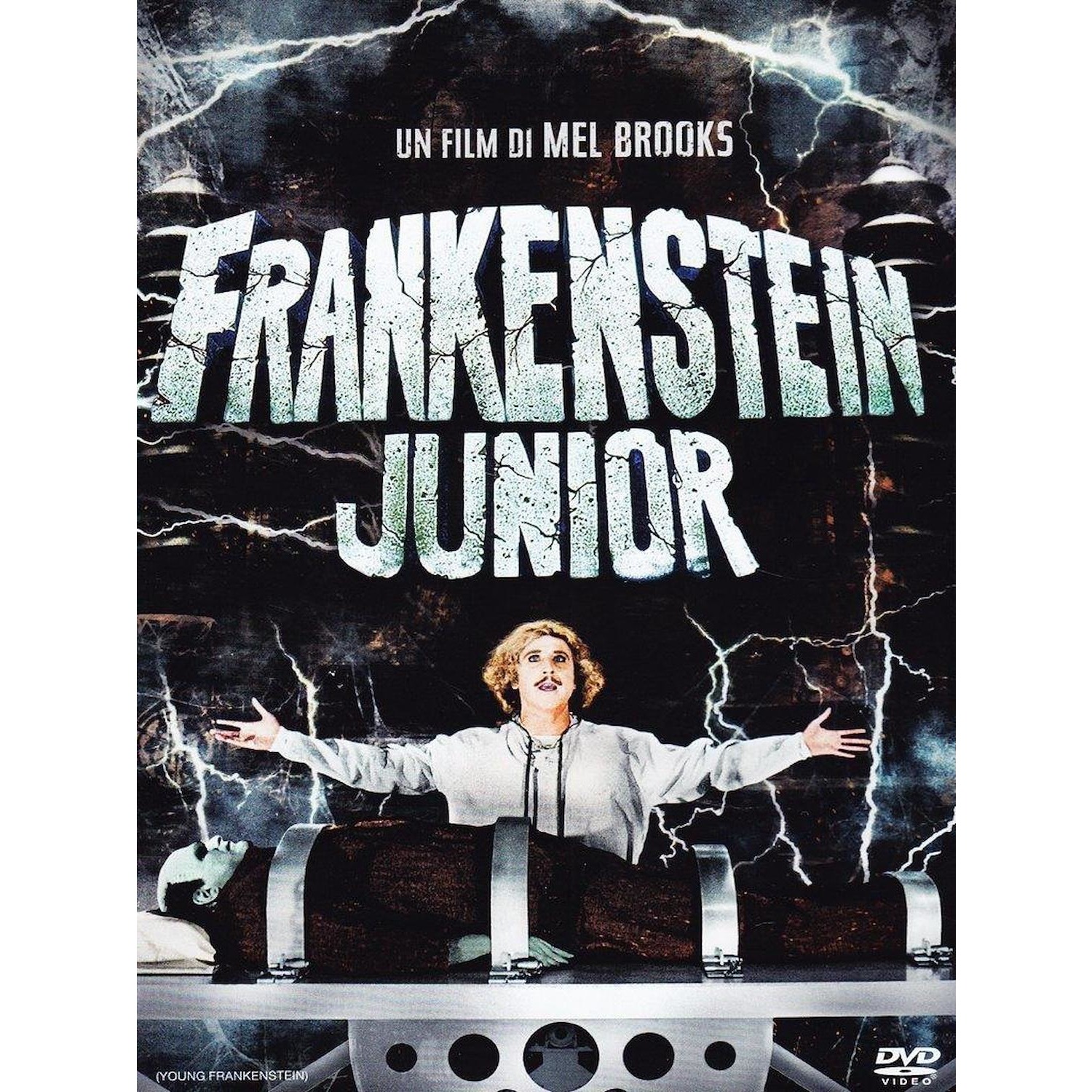 Immagine per DVD Frankenstein Junior da DIMOStore