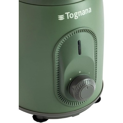 Frullatore Tognana Iridea D2DFU01IRVE potenza 300W capacità bicchiere 0,8Litri verde salvia