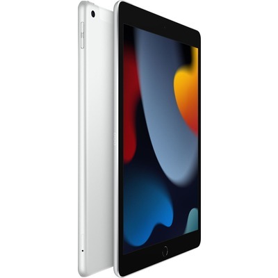 iPad Apple Wi-Fi cellular 256GB silver 9 generazione