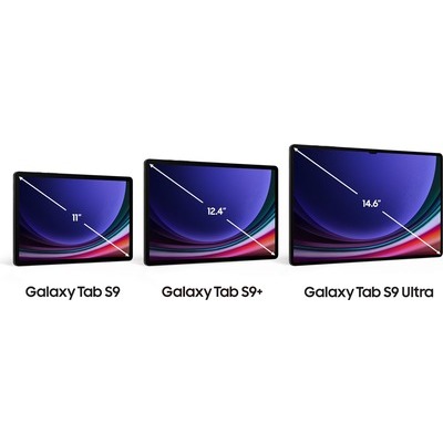 Tablet Samsung Galaxy Tab S9 12/256GB Wi-Fi grafite
